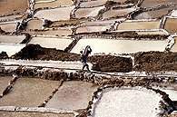 Pozyskiwanie soli w Andach peruwiańskich /Encyklopedia Internautica