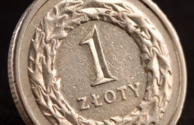 Pozytywny klimat dla polskiej waluty po decyzji RPP może się utrzymać do czasu posiedzenia EBC /&copy; Bauer