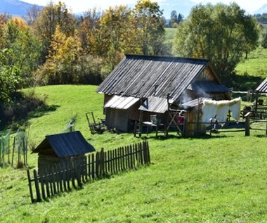 Praca marzeń? Można składać podania, kurs jest bezpłatny