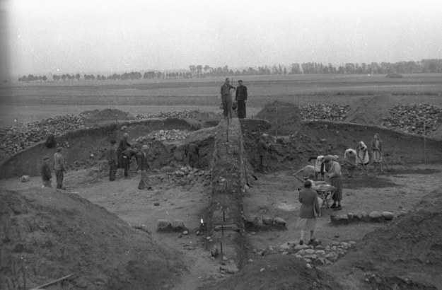 Prace archeologiczne w Biskupinie na zdj. z 1947 roku /CAF /PAP