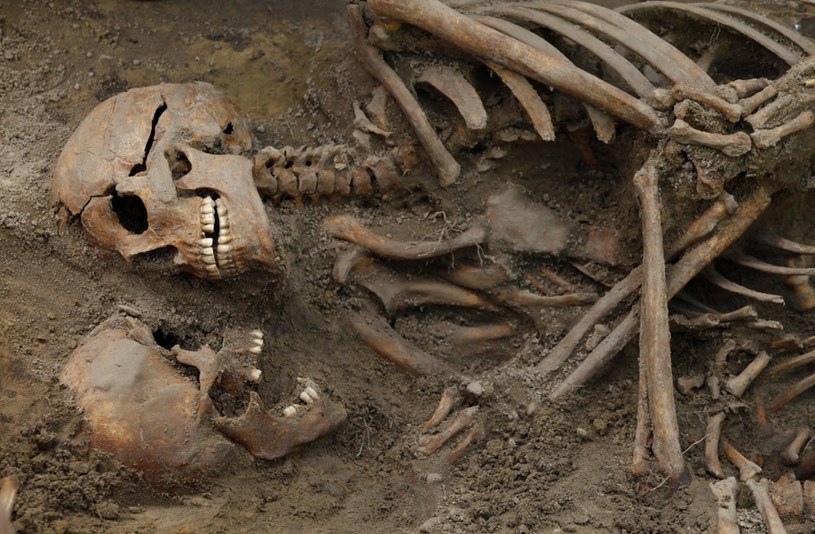 Prace ekshumacyjne IPN - odkryto kolejną jamę grobową (zdjęcie ilustracyjne) /Stefan Maszewski /Reporter