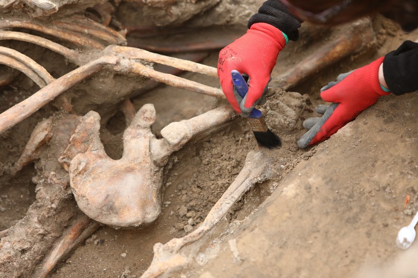 Prace ekshumacyjne IPN - odnaleziono szczątki kolejnych osób (zdjęcie ilustracyjne) /Stanisław Kowalczuk /East News