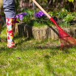 Prace ogrodowe w maju: Jakie należy wykonać?