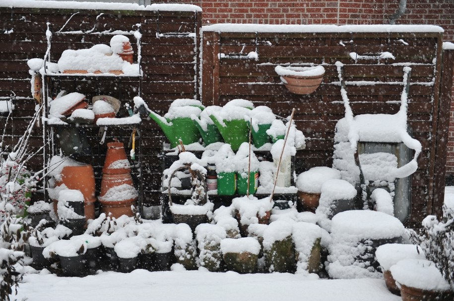 Prace w ogrodzie w grudniu! Sprawdź, co zrobić przed mrozami /Shutterstock