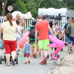 Pracodawca da ci pieniądze na wakacje. Czym są wczasy pod gruszą?