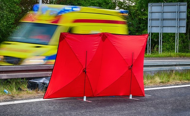 Pracodawcy dostali lepszy wgląd w uprawnienia kierowców. To echo wypadku w Warszawie