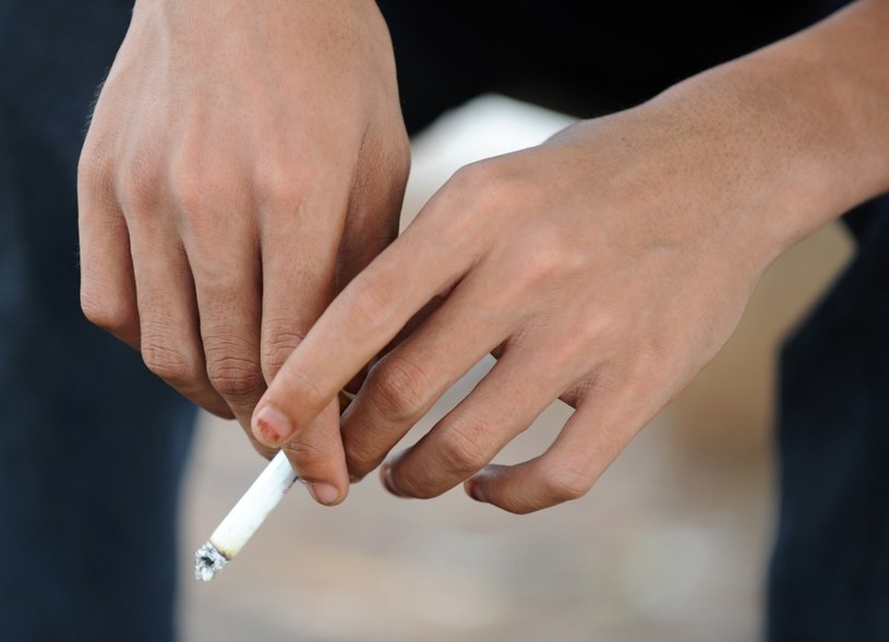 Pracodawcy tracą miliony przez palaczy /AFP