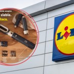 Pracownicy Lidla nie mają wątpliwości. Ta nowość będzie hitem