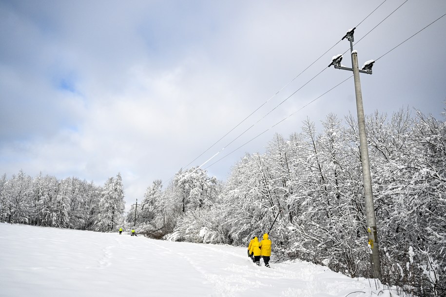 Pracownicy pogotowia energetycznego PGE podczas usuwania drzew, które uszkodziły linię energetyczną w lesie w rejonie Śliwnicy /Darek Delmanowicz /PAP