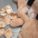 Niderlandy. Kraj Unii Europejskiej.