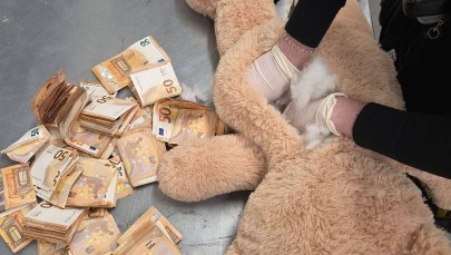 Pracownik DHL nie mógł uwierzyć własnym oczom: w misiu ukryto fortunę