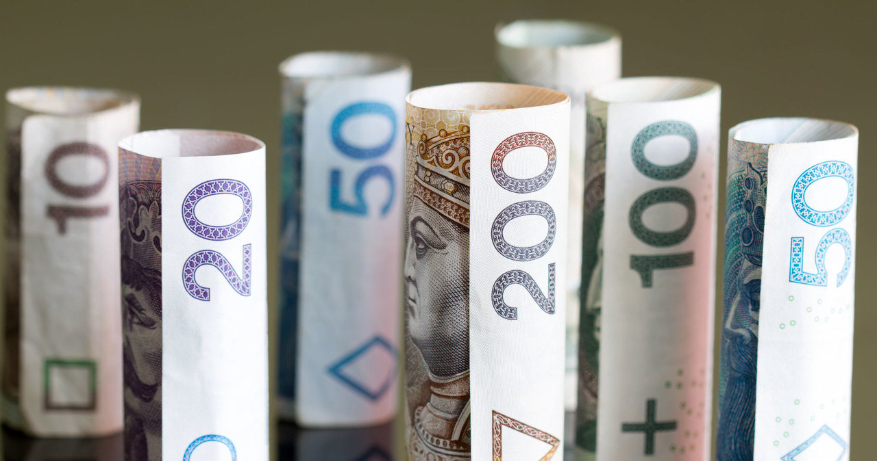 Pracownik nie może zrzec się prawa do wynagrodzenia ani przenieść go na inną osobę /123RF/PICSEL