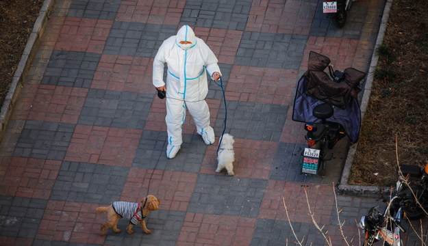 Pracownik służby zdrowia wyprowadzający psy podczas lockdownu w Pekinie /WU HAO  /PAP/EPA