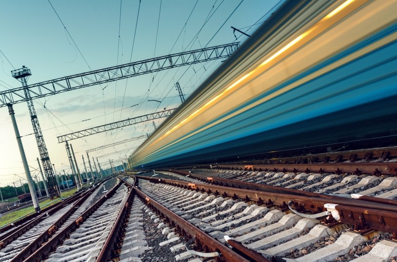 Pracownik SNCF miał wydać pozwolenie na odjazd pociągu mimo tego, że na torach znajdował się kot /123RF/PICSEL