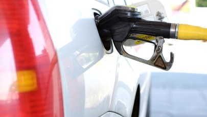 Prąd w górę, paliwa w dół. Święto Bota na razie nieobowiązkowe