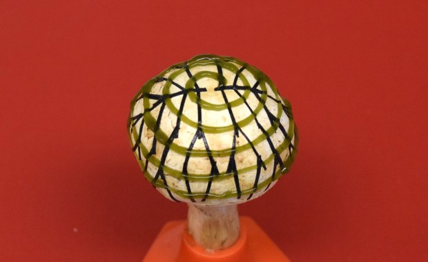 Prąd z grzybków, czyli nano-cyjano-pieczarki...