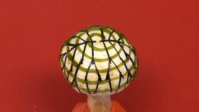 Prąd z grzybków, czyli nano-cyjano-pieczarki...