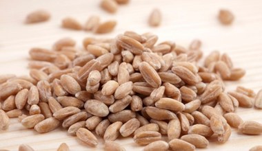 Prastare zboże wraca do łask. Ma dużo witamin i naturalny probiotyk, który występuje w mleku matki 