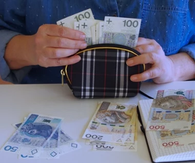 Prawda o zarobkach Polaków. O średniej płacy wielu wciąż może pomarzyć