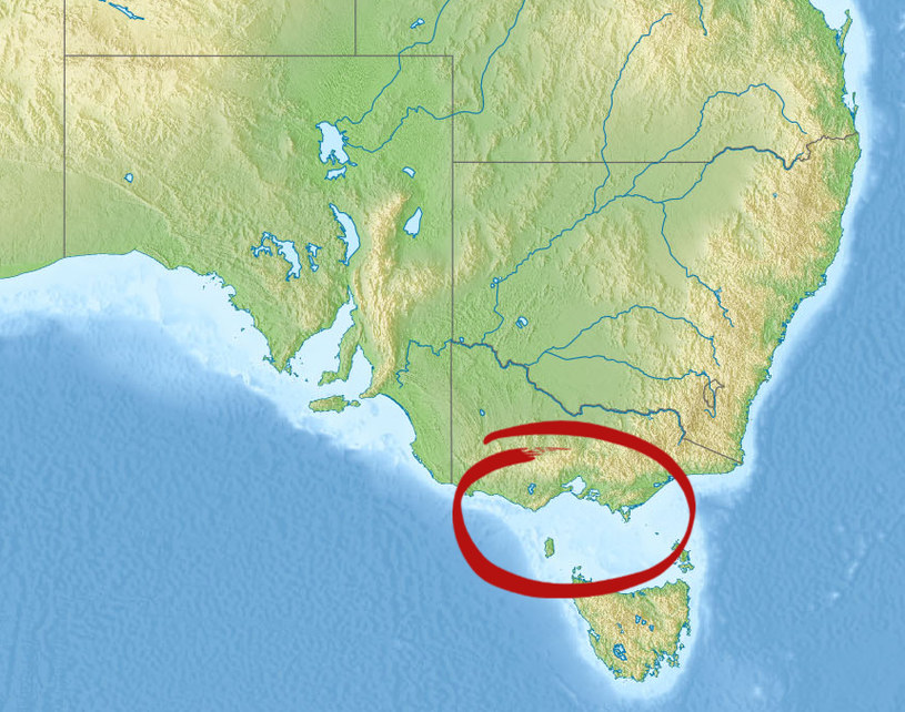 Prawdopodobne miejsce zaginięcia pilota u wybrzeży Australii /Wikimedia Commons /domena publiczna