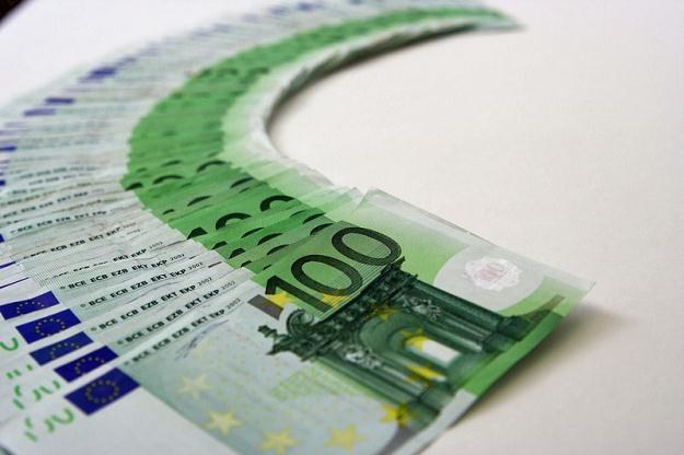 Prawdopodobny wydaje się scenariusz, iż w ciągu 5-9 lat Polska przyjmie euro jako swoją walutę /&copy; Panthermedia