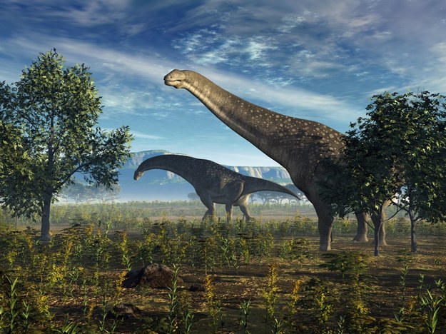 Prawdopodobny wygląd tytanozaurów /WALTER MYERS/Science Photo Library /East News
