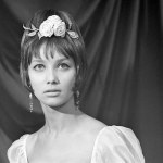 Prawdziwa perełka polskiego kina. Film wyniósł na szczyt wiele gwiazd