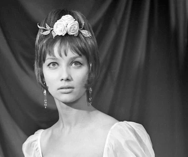 Prawdziwa perełka polskiego kina. Film wyniósł na szczyt wiele gwiazd