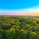 Prawdziwy raj dla grzybiarzy i fanów mrocznych legend: lubuskie lasy