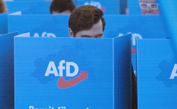 "Prawicowy populizm nie jest niezwyciężony". Tak chcą powstrzymać AfD? 