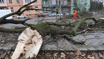 Prawie 16 tysięcy domów odciętych od prądu po wichurach