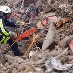 Prawie 2 tys. ofiar trzęsienia ziemi na Haiti