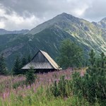 Prawie 3 mln turystów do końca lipca. Tatry biją rekord popularności