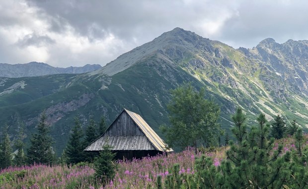 Prawie 3 mln turystów do końca lipca. Tatry biją rekord popularności