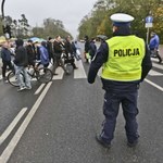 Prawie 300 mandatów dla pieszych w jeden dzień. Szybka akcja policji