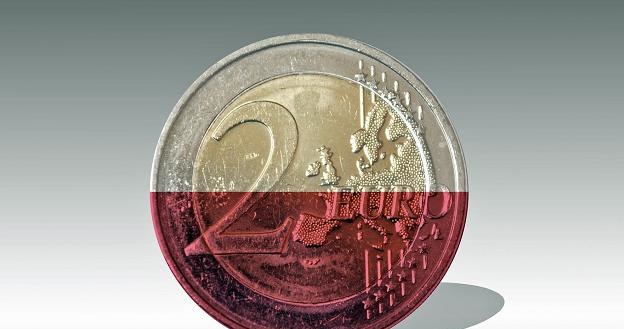 Prawie dwie trzecie Polaków nie chce zamieniać złotówki na euro /&copy;123RF/PICSEL