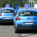 Prawo jazdy bez wizyty w urzędzie. Nowa platforma ułatwi formalności