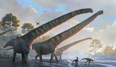 Prehistoryczna megażyrafa. Dinozaur mógł mieć najdłuższą szyję w historii