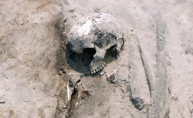 Prehistoryczne diety Polaków odkrywają zaskakujące strategie przetrwania