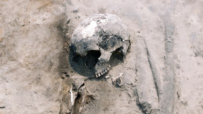 Prehistoryczne diety Polaków odkrywają zaskakujące strategie przetrwania