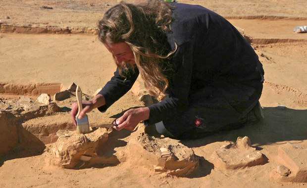 Prehistoryczne znalezisko w Izraelu. Jego wiek szacowany na kilka tysięcy lat