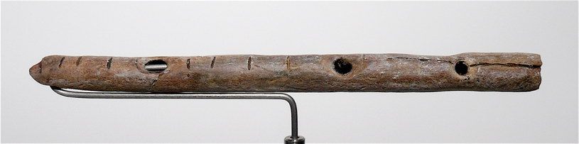 Prehistoryczny flet znaleziony w jaskini Geissenklösterle /WikimediaCommons /domena publiczna