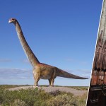 Prehistoryczny gigant w kościele. Zobacz tytanozaura na wyjątkowej wystawie
