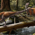 Prehistoryczny skarb. W Europie odkryto nowy gatunek dinozaura