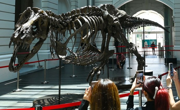 Prehistoryczny zabójca rósł powoli