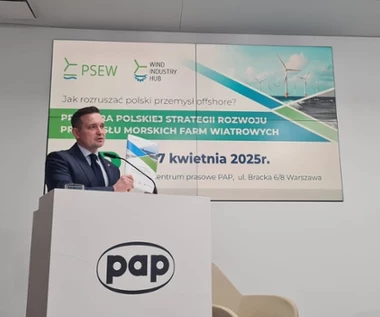 Premier chce repolonizacji gospodarki - sektor wiatrowy odpowiada gotową strategią na rozwój polskiego przemysłu