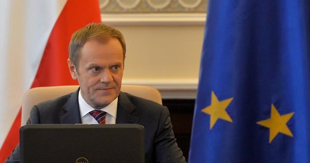 Premier Donald Tusk oświadczył, że Lasy Państwowe nie zostaną sprywatyzowane /PAP