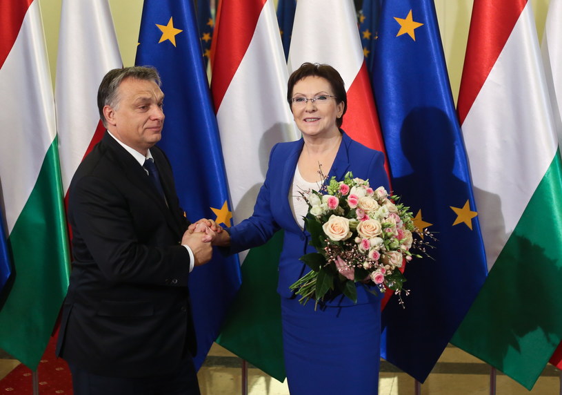 Premier Ewa Kopacz i szef węgierskiego rządu Viktor Orban podczas spotkania w KPRM /Marcin Obara /PAP