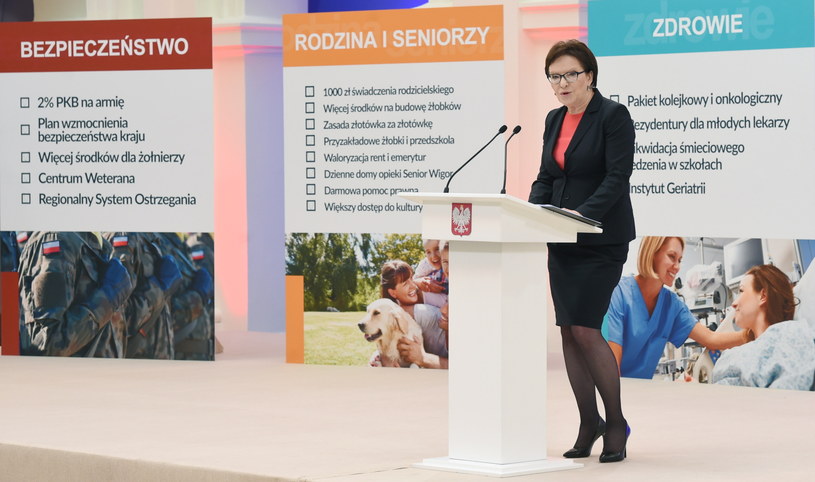 Premier Ewa Kopacz podsumowuje rok pracy rządu oraz realizację zapowiedzi z expose /Radek Pietruszka /PAP