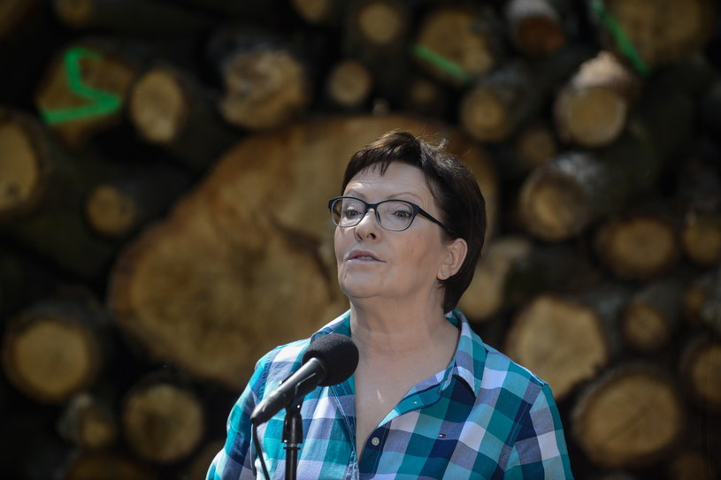 Premier Ewa Kopacz /Jakub Kamiński   /PAP